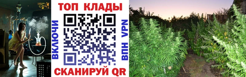 Купить наркотики Мосальск A PVP МЕФ АМФЕТАМИН КОКАИН Марихуана
