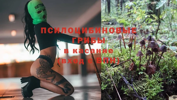 индика Абинск