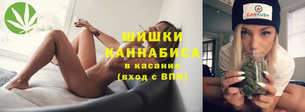 индика Абдулино