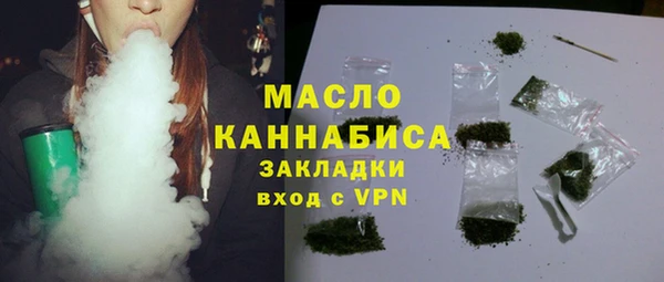 индика Абинск