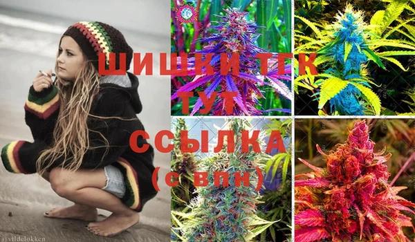 индика Абинск