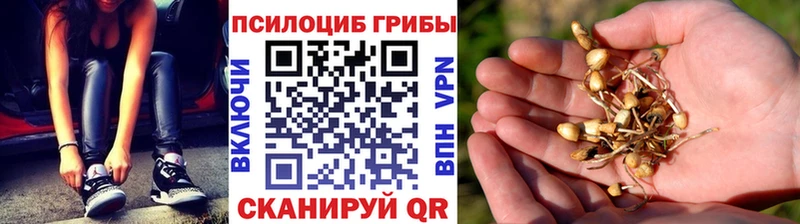 Галлюциногенные грибы Cubensis  Мосальск 